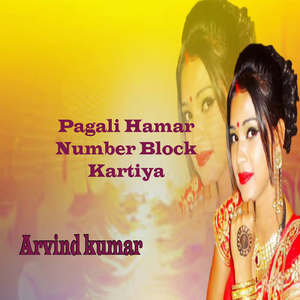 Pagali Hamar Number Block Kartiya