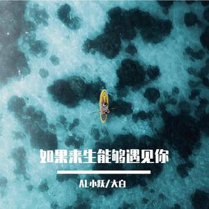 如果来生能够遇见你