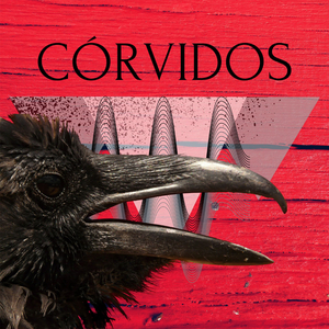 Córvidos