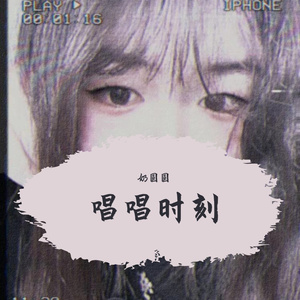 可惜不是你 翻唱