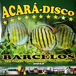 Barcelos, Nossa História, Nossa Terra, Nossa Gente