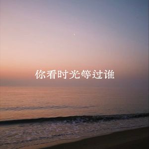 你看时光等过谁