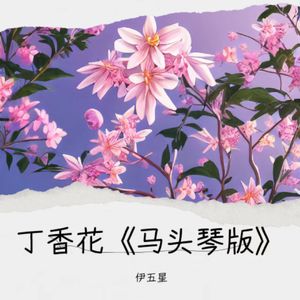 丁香花《马头琴版》