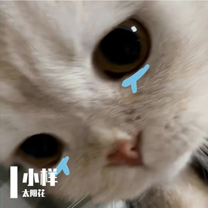 小样