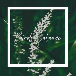 Birds Balance