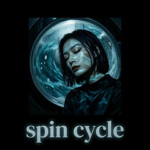 Spin cycle(脱水程序)