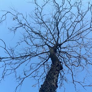 《亲爱的，你也在这里吗》AIGC