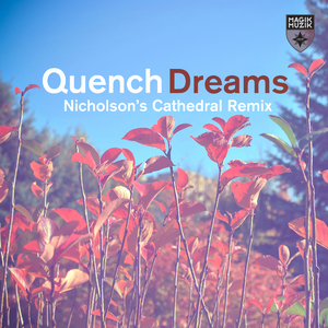 Dreams (Nicholson's Cathedral Remix)