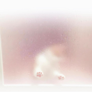 太聪明.wav