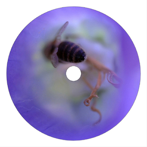 Mister Spider (Cartier DJs Mix)