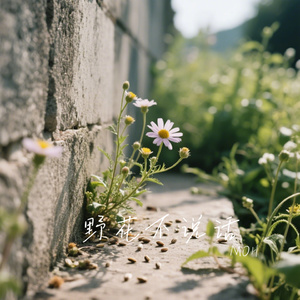 野花不说话