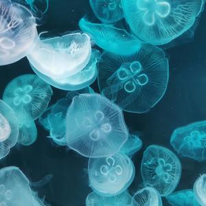 h3R3-她只是经过（Lil.Brown(不浪) remix）