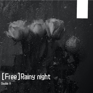 [Free]Rainy night