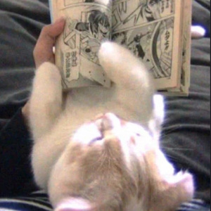 停止（Prod by.紫薯米昔）