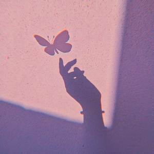 sdp interlude (TikTok Remix)