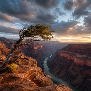 Wind over Canyon