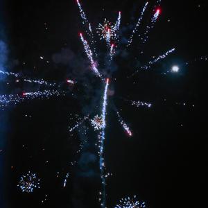 狐狸的童话（翻自 宇航草草）