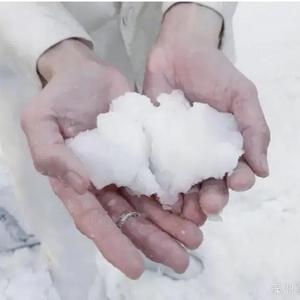 厝火积薪 —记我和他们的一周年