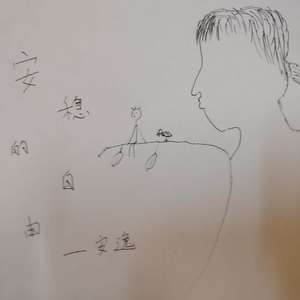 安稳的自由