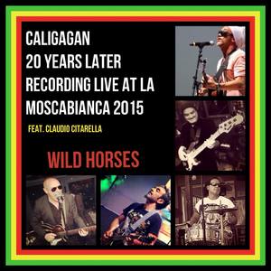 Wild Horses (20 Years Later Recorded Live at La Mosca Bianca 2015)