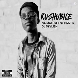 Kushubile