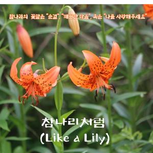 참나리처럼 (Like a Lily)