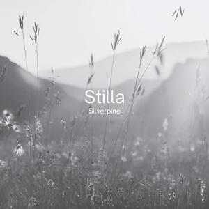 Stilla
