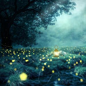 Lantern Glow