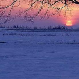 嗜好（翻自 颜人中）
