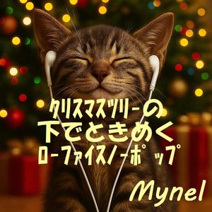 星降る夜に願いを込める