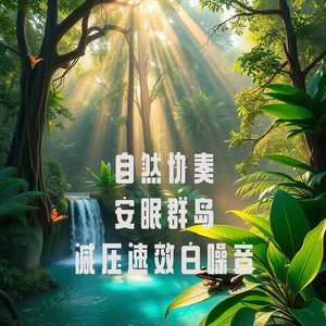 NO.9 自然 夏天 森林 鸟叫 古典吉他