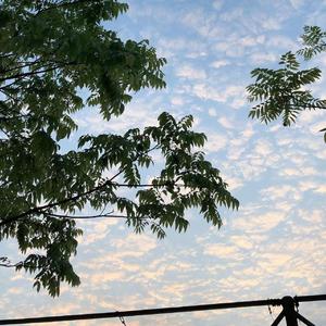 《晴》吉他版（改词）