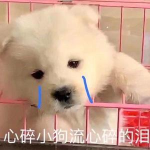 分你一半