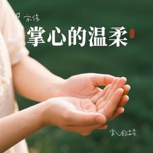 掌心的温柔
