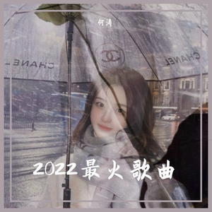 2022最好听歌曲串烧（何涛 remix）