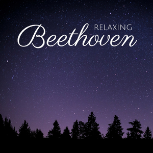 2 Rondos, Op. 51: No. 1 in C Major, Moderato e grazioso