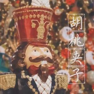 胡桃夹子（cover张碧晨）