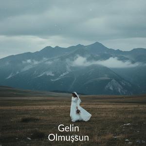 Gelin Olmuşsun