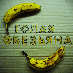 Голая обезьяна