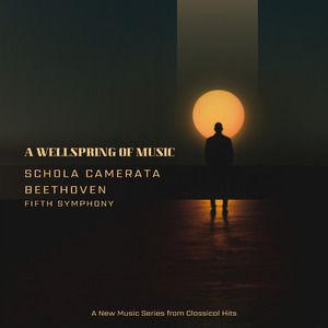 Andante Con Moto - Symphony No. 5 - New Music Series from Classical Hits