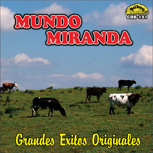 Ilusiones Muertas
