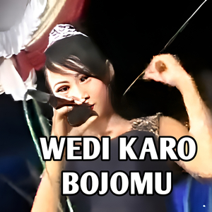 WEDI KARO BOJOMU