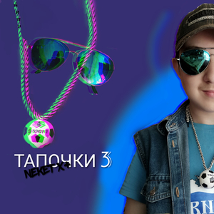 Тапочки 3