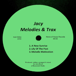 Lily Of The Past (Original Mix)