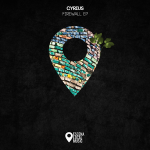 Firewall (Original Mix)