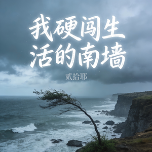 我硬闯生活的南墙