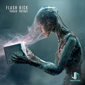 Flash Kick (Original Mix)