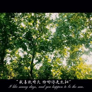 第十个没有你的盛夏