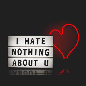 I Hate Nothing About U