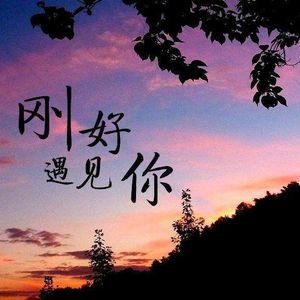 我在人海遇见你